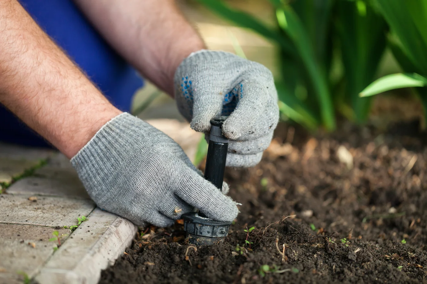 Technician adjusting a pop-up sprinkler head beside a garden bed.